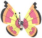 Shiny Vivillon Sun in Pokémon GO