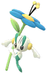 Floette Blue