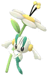 Floette White