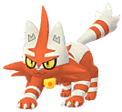 Shiny Torracat in Pokémon GO