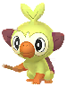 Shiny Grookey in Pokémon GO