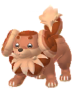 Shiny Dachsbun in Pokémon GO