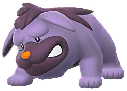 Shiny Maschiff in Pokémon GO