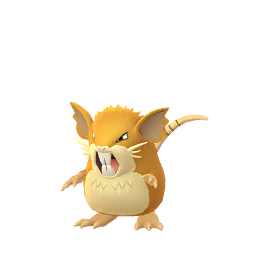 Raticate