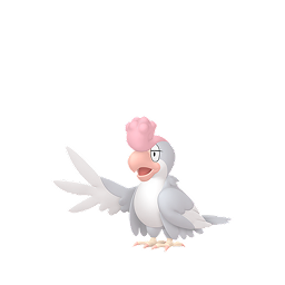 Squawkabilly White Plumage