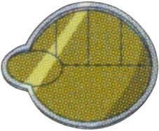 Chuck badge