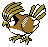 Shiny Pidgeotto in Gold & Silver