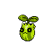 Sunkern