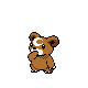 Teddiursa