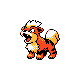 Growlithe