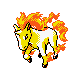 Rapidash