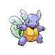 Shiny Wartortle sprite