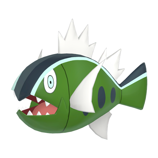 White-Striped Basculin