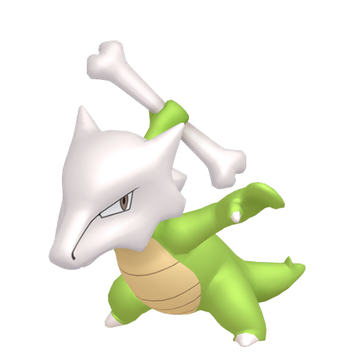 Shiny Marowak render