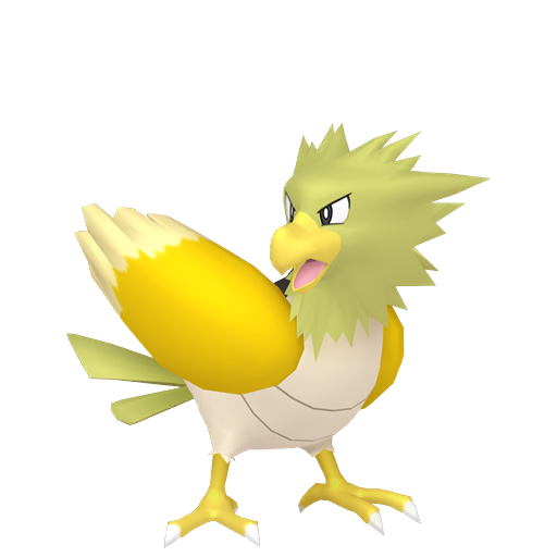 Shiny Spearow render
