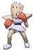 Hitmonchan in Omega Ruby & Alpha Sapphire