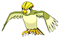 Shiny Pidgeotto in Omega Ruby & Alpha Sapphire