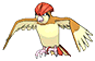Pidgeotto in Omega Ruby & Alpha Sapphire