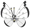 Shiny Vivillon in Omega Ruby & Alpha Sapphire