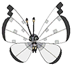 Vivillon in Omega Ruby & Alpha Sapphire