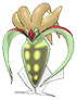 Shiny Malamar in Omega Ruby & Alpha Sapphire