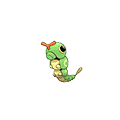 Caterpie