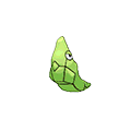 Metapod