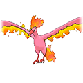 Shiny Moltres sprite