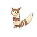Furret