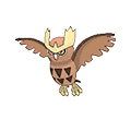 Noctowl