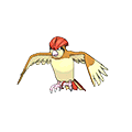 Pidgeotto