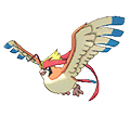 Pidgeot Mega