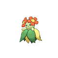 Bellossom