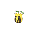 Sunkern
