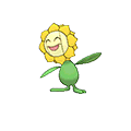 Sunflora