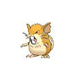 Raticate