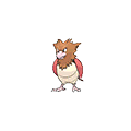 Spearow