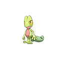 Treecko
