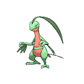 Grovyle