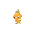 Torchic