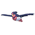 Swellow