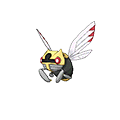 Ninjask