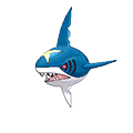 Sharpedo