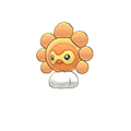 Castform Sunny