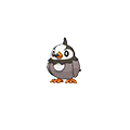 Starly