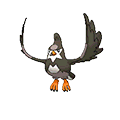 Staravia