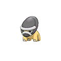Shieldon