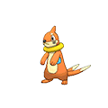Buizel