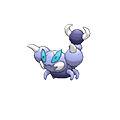 Skorupi