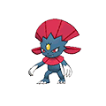 Weavile